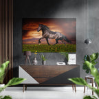 Black Horse Galloping At Sunset Brushed Aluminium Dibond Wall Art