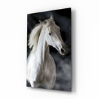 Flowing Mane White Stallion Glass Wall Art