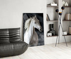 Flowing Mane White Stallion Glass Wall Art