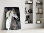 Flowing Mane White Stallion Glass Wall Art