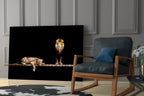 Standing Lion and Sleeping Lioness Glass Wall Art
